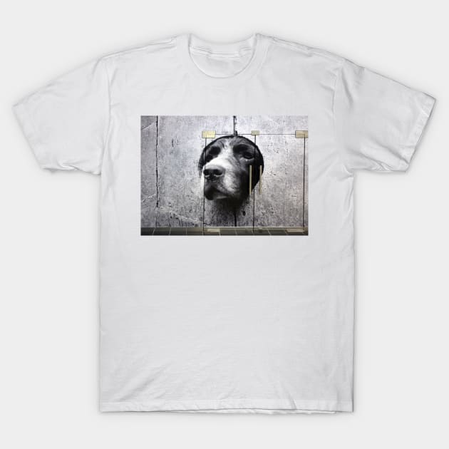 DOGS ARE NOT JUST FOR CHRISTMAS T-Shirt by mister-john